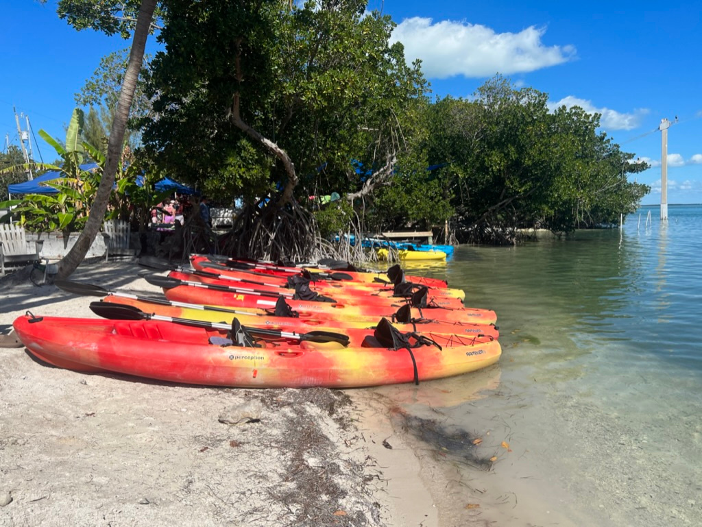 Red and yellow kayaks on a sandy beach by a calm waterway with trees in the background.