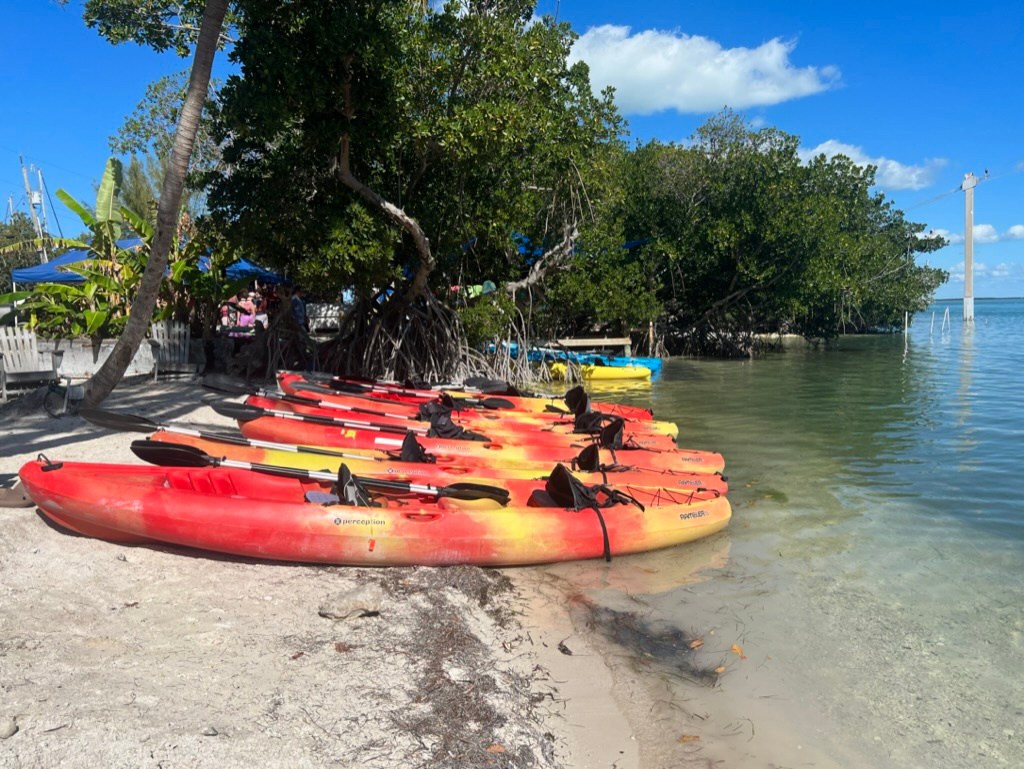 Red and yellow kayaks on a sandy beach by a calm waterway with trees in the background.