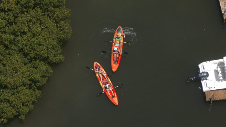 Two orange kayaks with people paddling on a river near a green bush and a white boat.