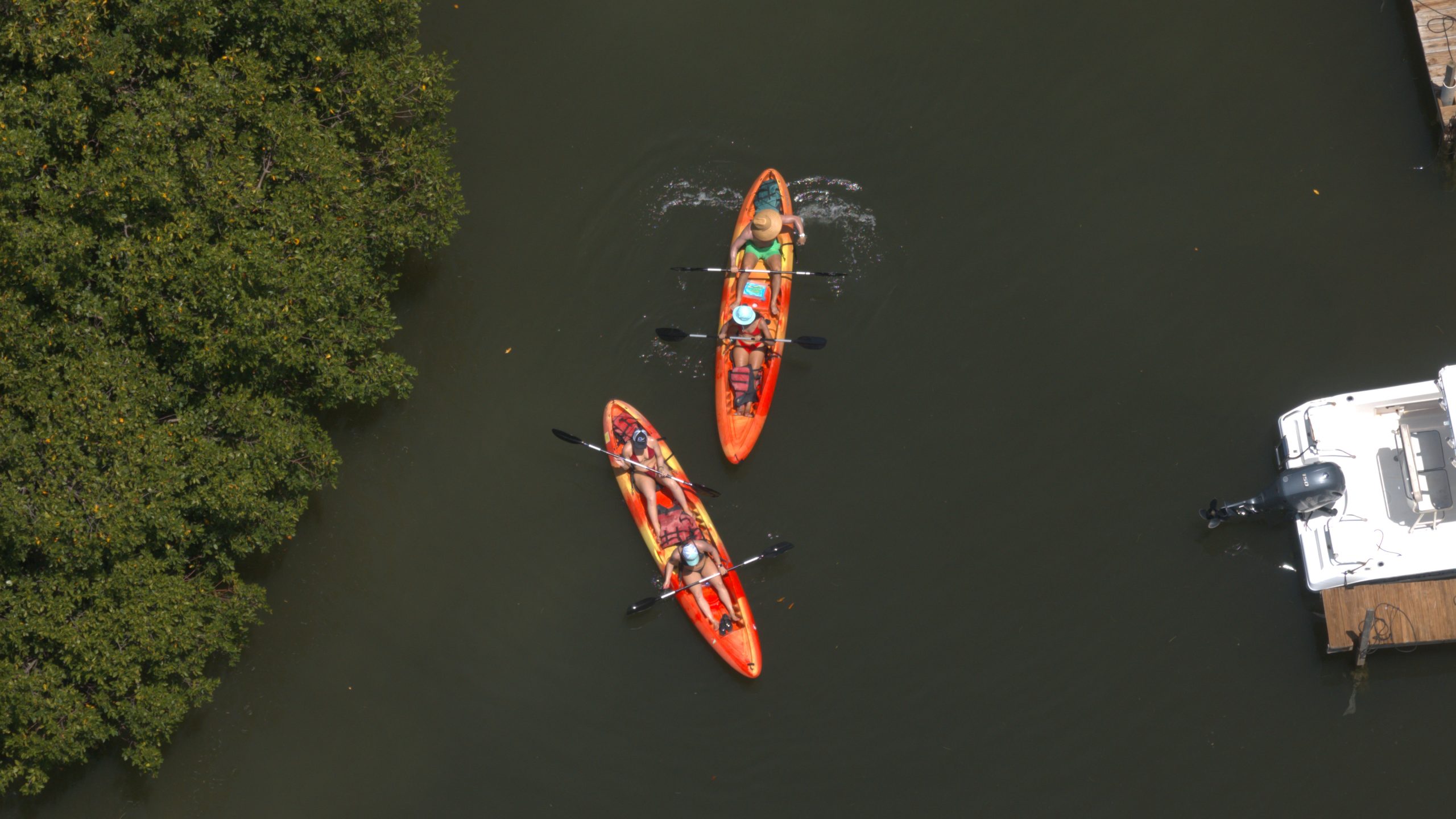 Two orange kayaks with people paddling on a river beside green trees and a docked boat.
