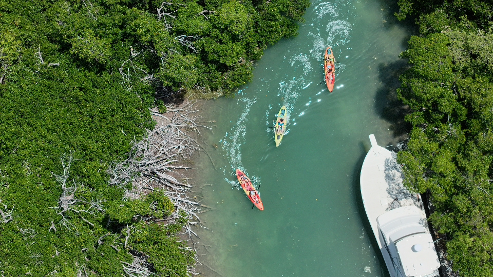 Kayakers and a yacht navigate a narrow, tree-lined waterway.