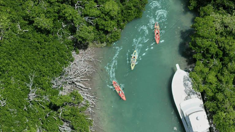 Kayakers and a yacht navigate a narrow, tree-lined waterway.