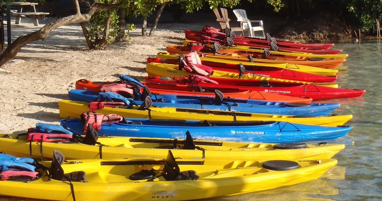 Colorful kayaks lined up on a sandy beach with trees in the background.