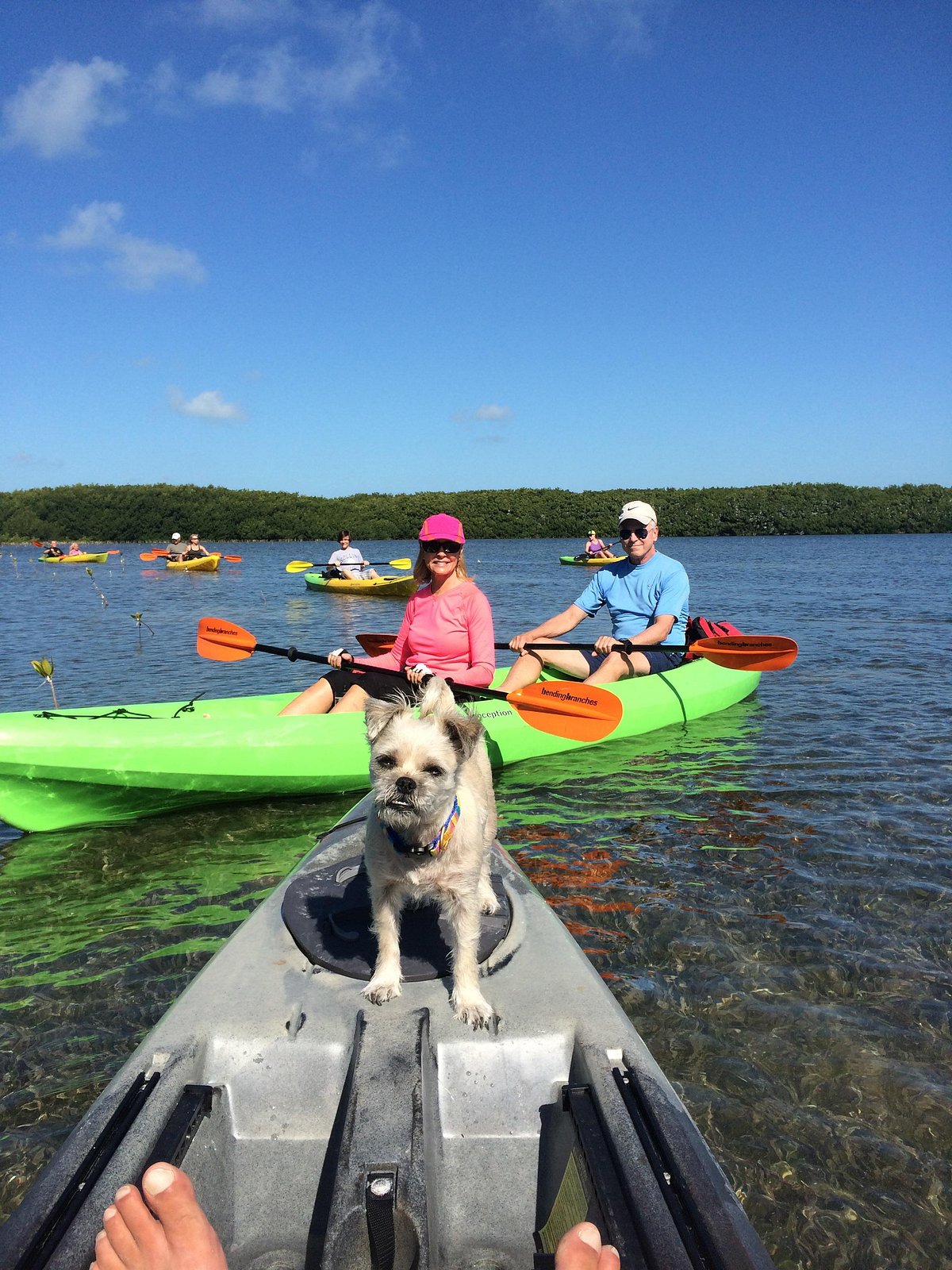 Dog on kayak, people paddling in background on sunny day.