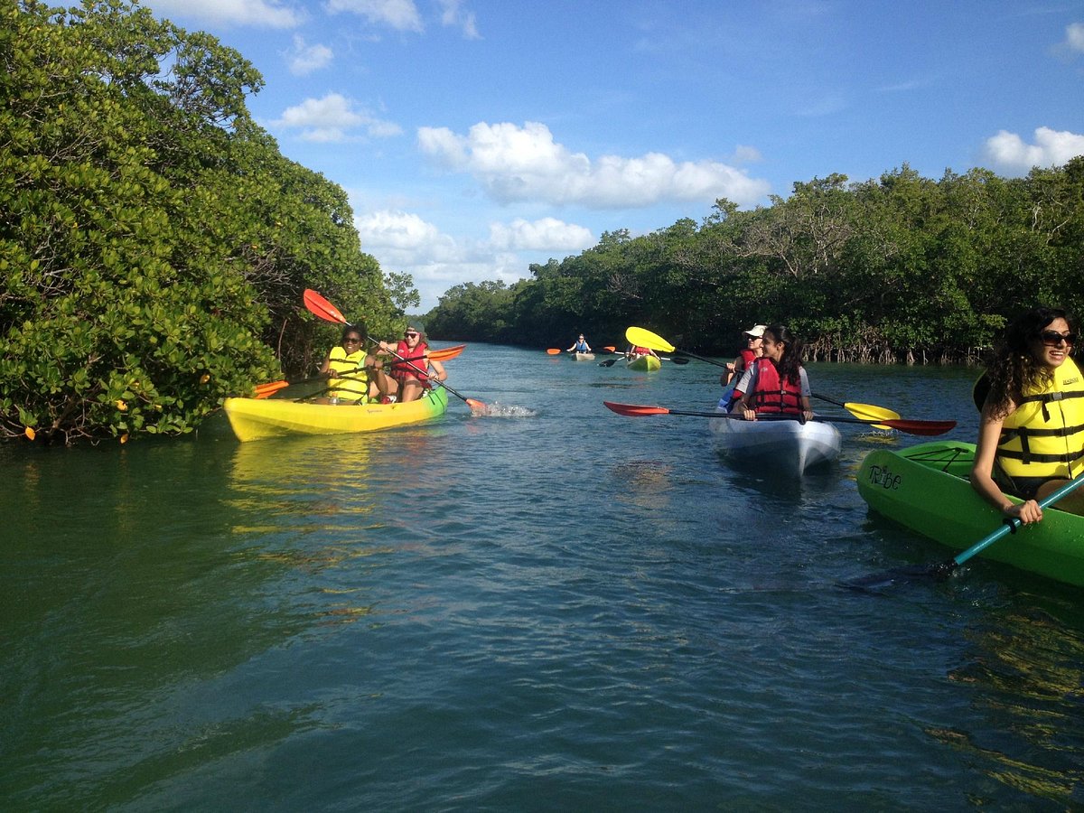 People kayaking on a river surrounded by greenery.