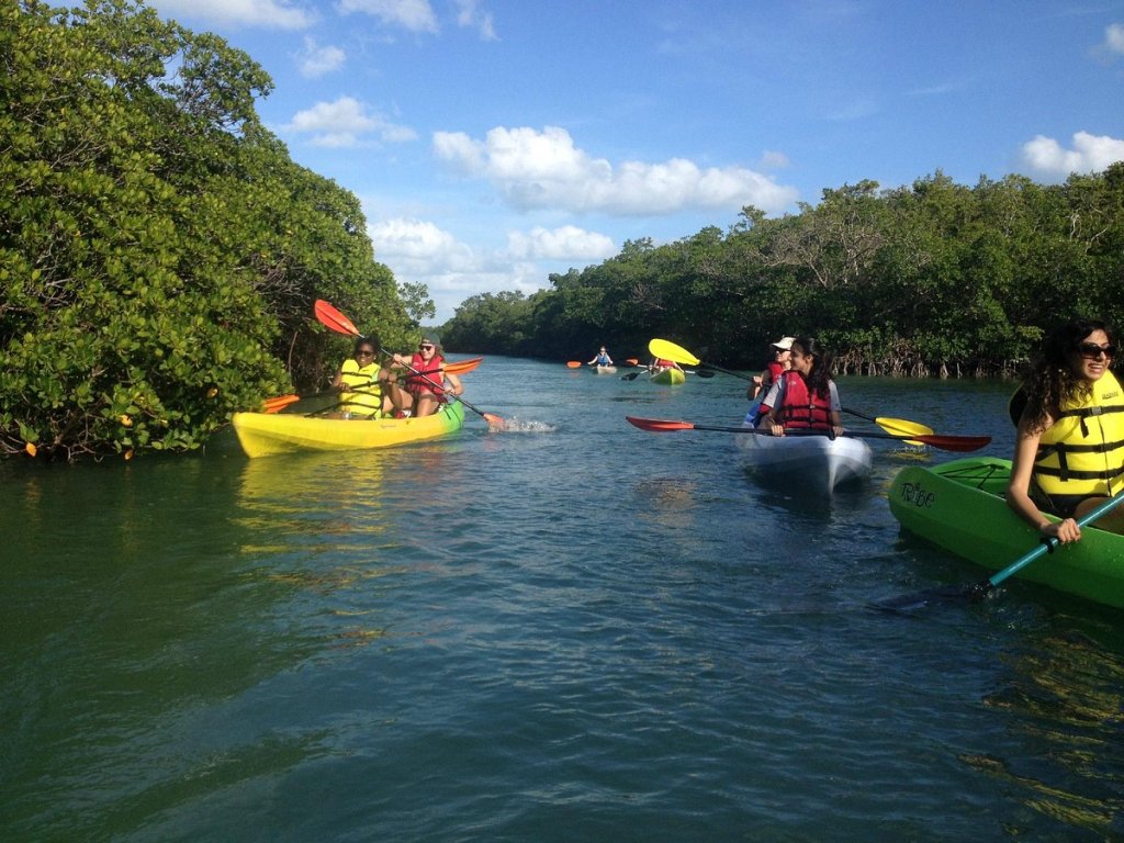 People kayaking on a river surrounded by greenery.